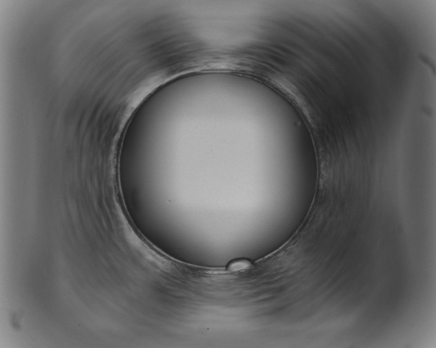 X0000101191483200807110933