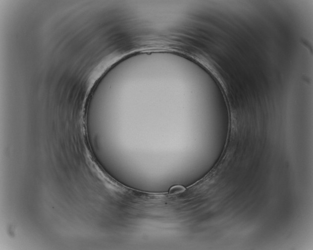 X0000101191485200807110933