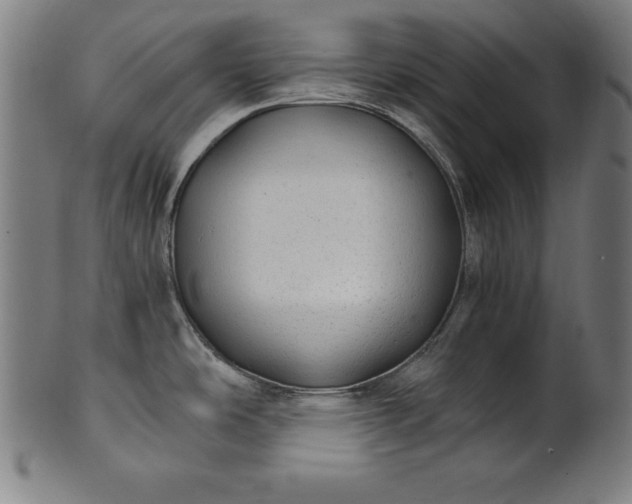 X0000101191486200807110933