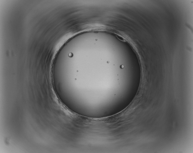 X0000101191488200807110933