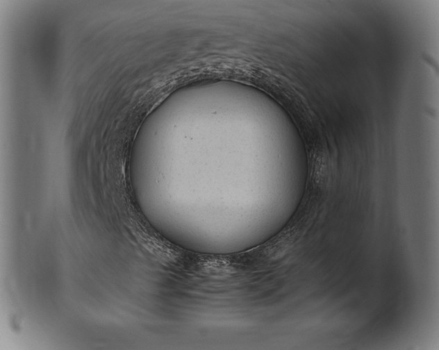 X0000101191489200807110932