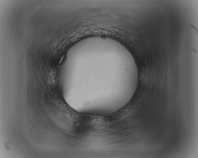 X0000101191490200807110932