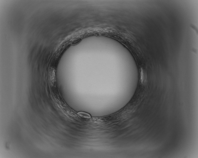 X0000101191492200807110932