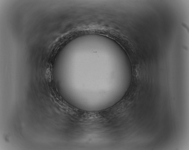 X0000101191493200807110932
