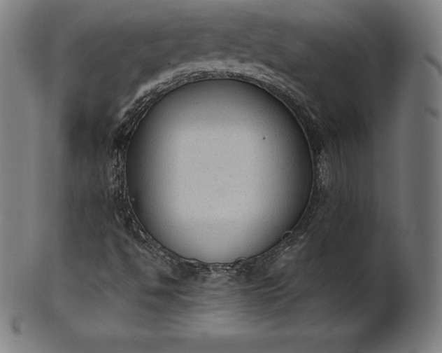 X0000101191494200807110932