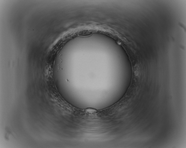 X0000101191495200807110932
