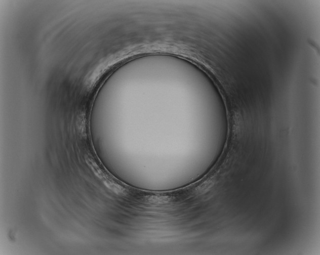 X0000101191499200807110932