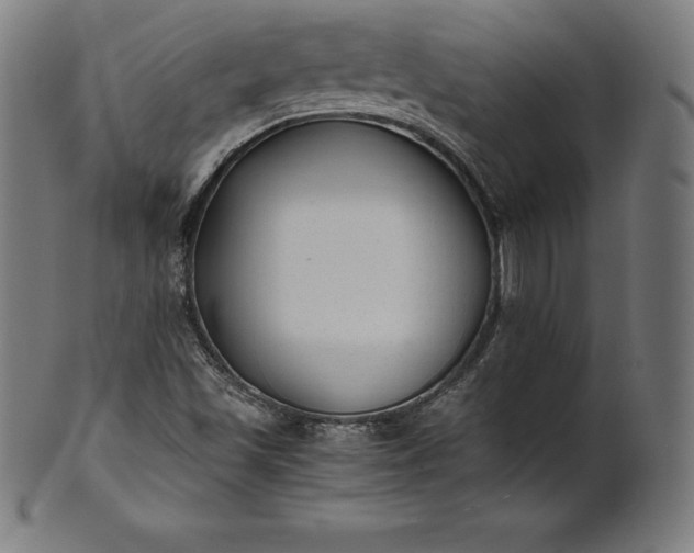 X0000101191501200807110932
