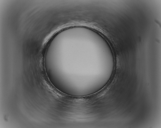 X0000101191502200807110932