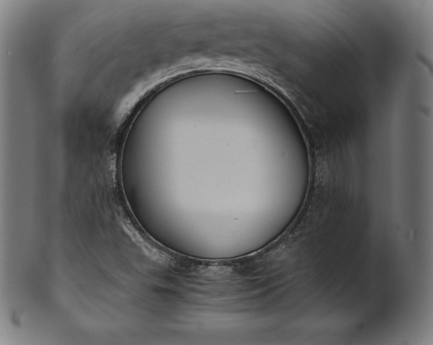 X0000101191503200807110932