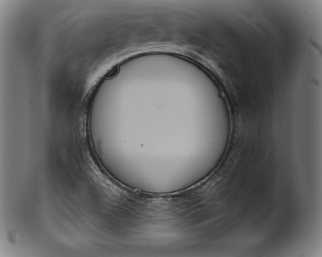 X0000101191504200807110932