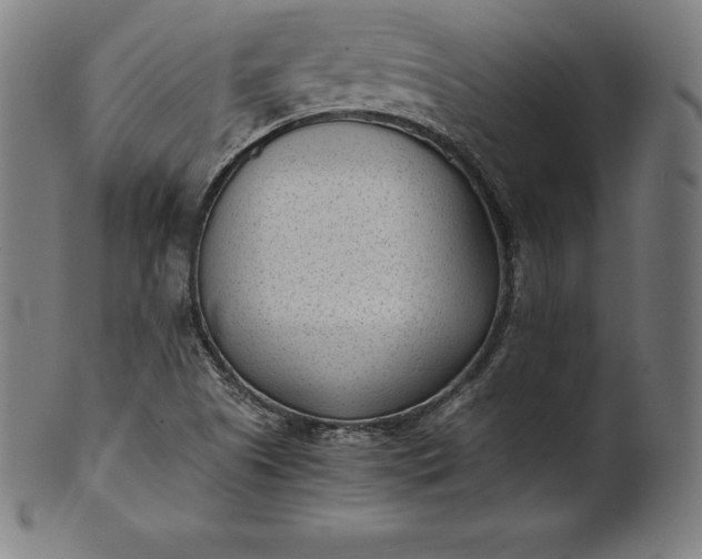 X0000101191505200807110932