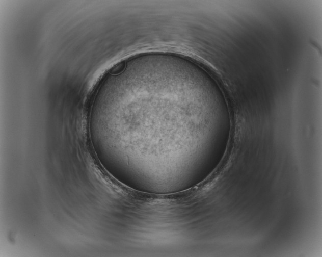 X0000101191506200807110932