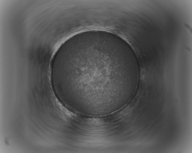 X0000101191508200807110932