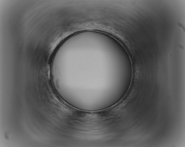 X0000101191509200807110932