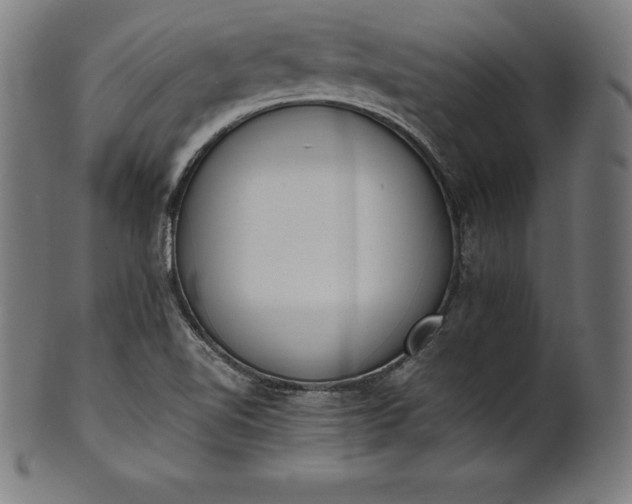 X0000101191510200807110932