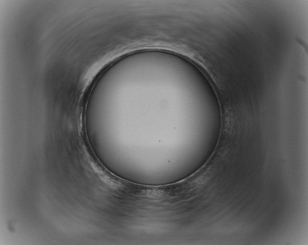 X0000101191511200807110932
