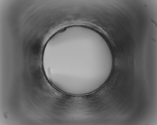 X0000101191512200807110932