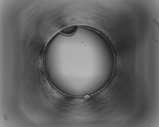X0000101191513200807110932