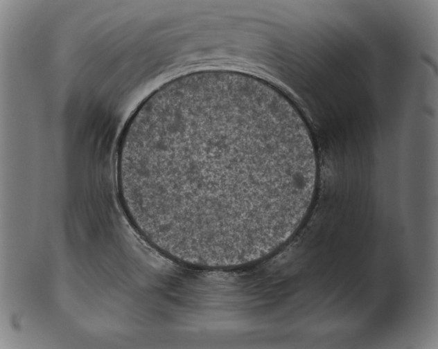 X0000101191514200807110932