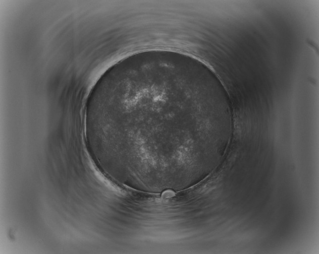 X0000101191515200807110932
