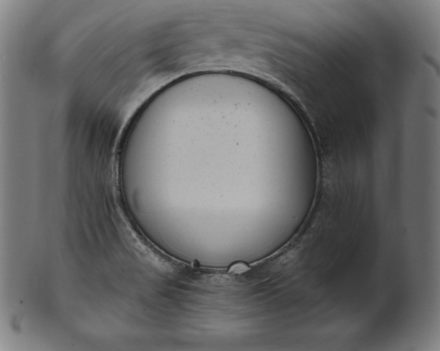 X0000101191517200807110932