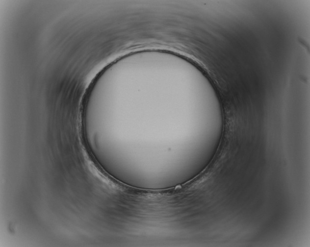 X0000101191518200807110932