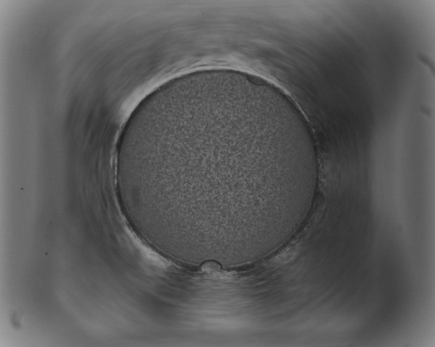 X0000101191519200807110932