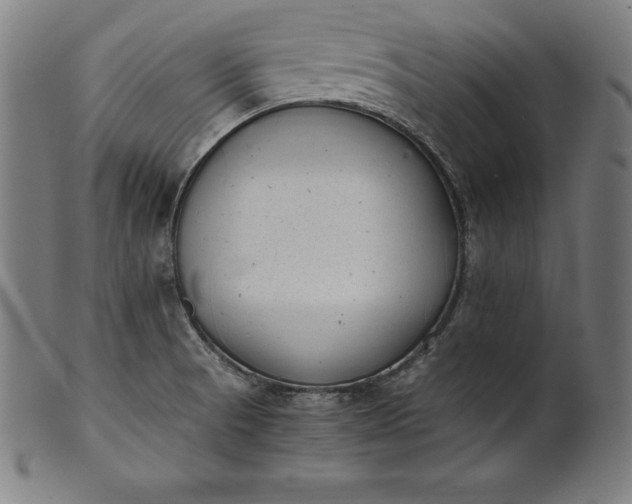 X0000101191521200807110932