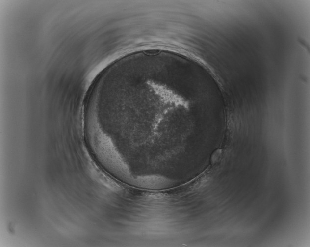 X0000101191522200807110932