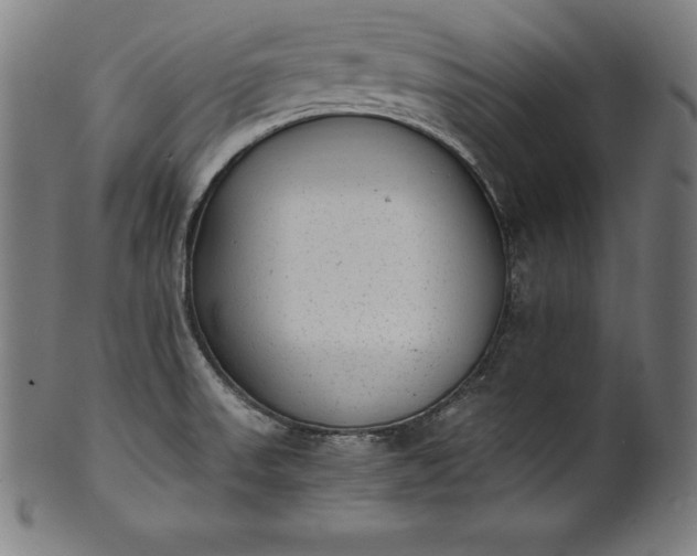 X0000101191523200807110932