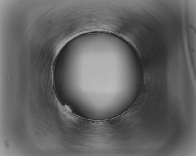 X0000101191524200807110932