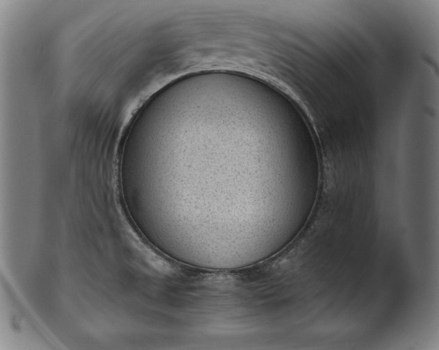 X0000101191525200807110932
