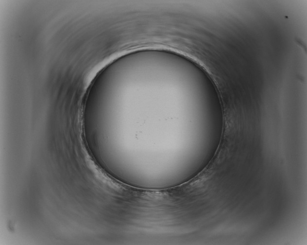 X0000101191526200807110933