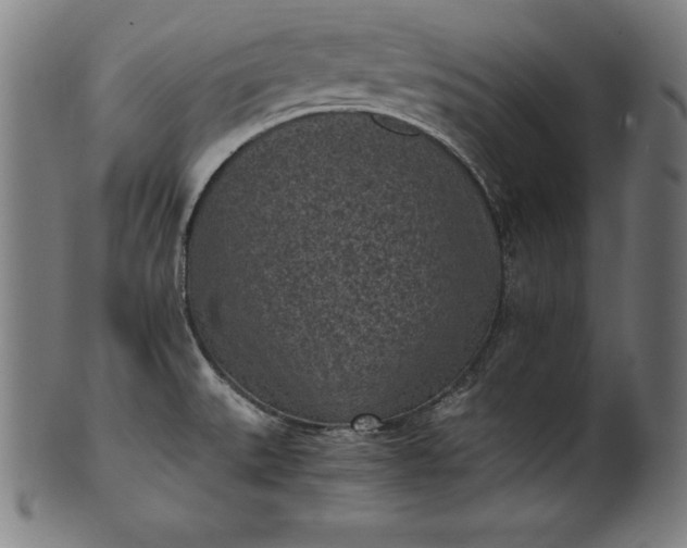 X0000101191527200807110933