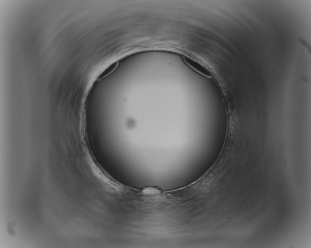 X0000101191528200807110933