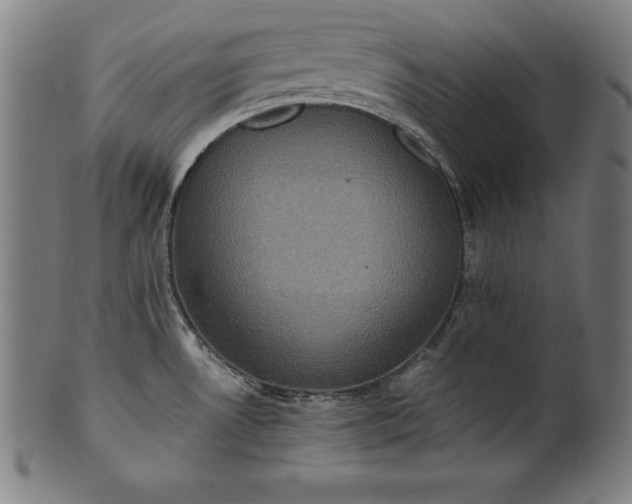 X0000101191530200807110933