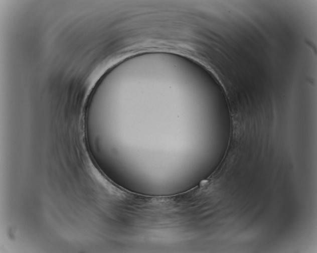 X0000101191531200807110933