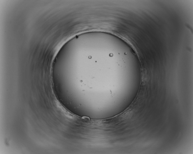 X0000101191532200807110933