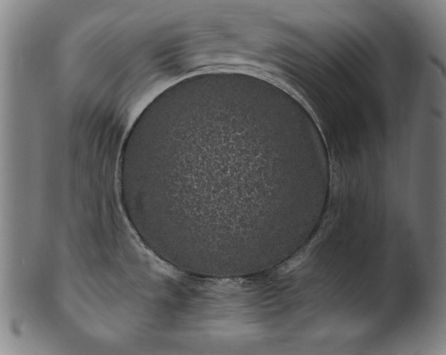 X0000101191533200807110933