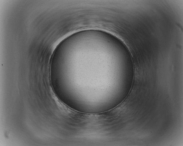 X0000101191534200807110933