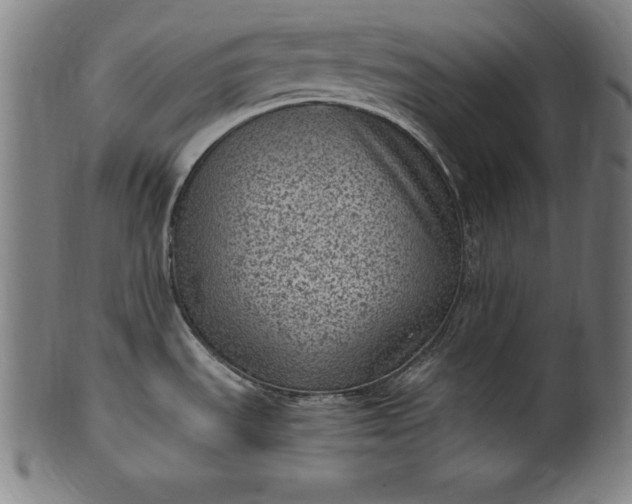 X0000101191535200807110933