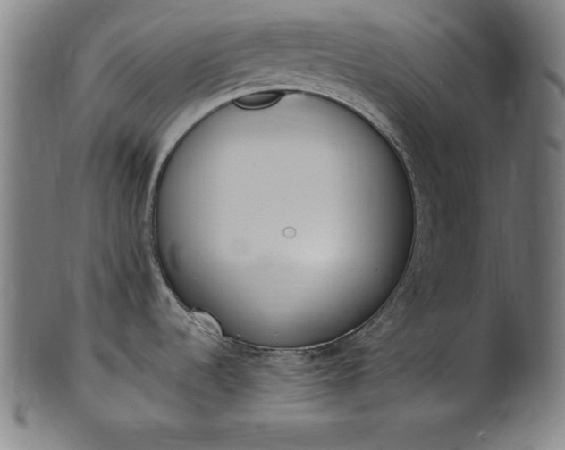X0000101191536200807110933