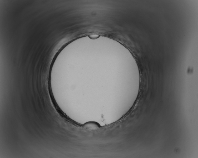 X0000101190003200807181522