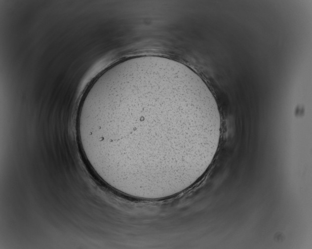 X0000101190004200807181522