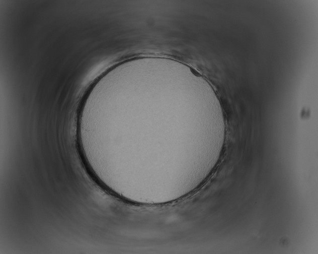 X0000101190005200807181522