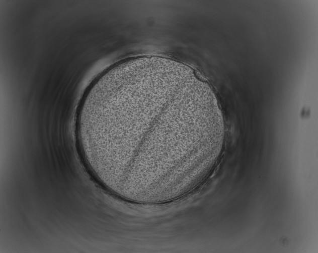 X0000101190006200807181522