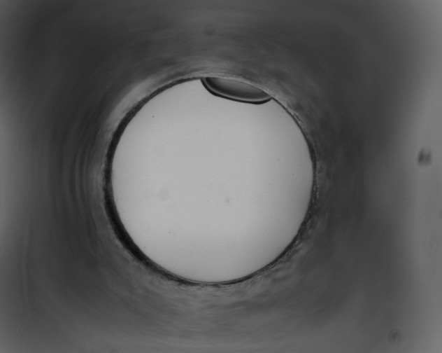 X0000101190007200807181522