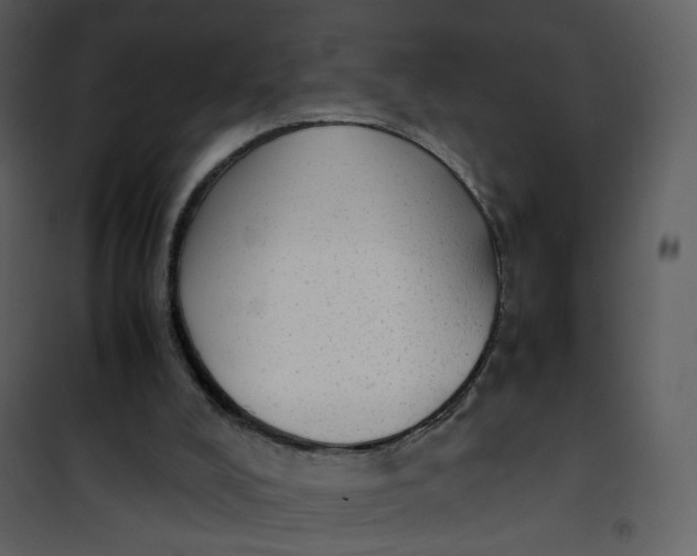 X0000101190008200807181522