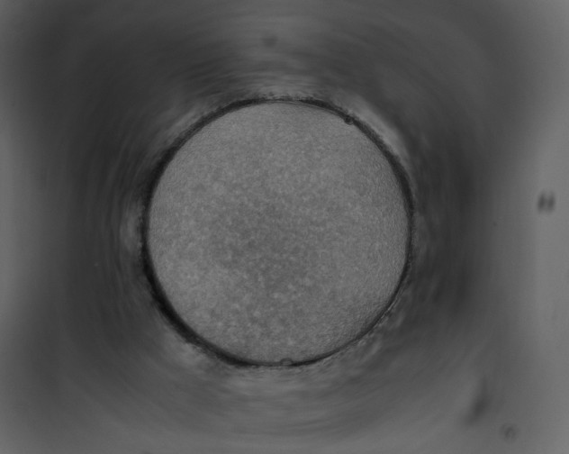 X0000101190009200807181522